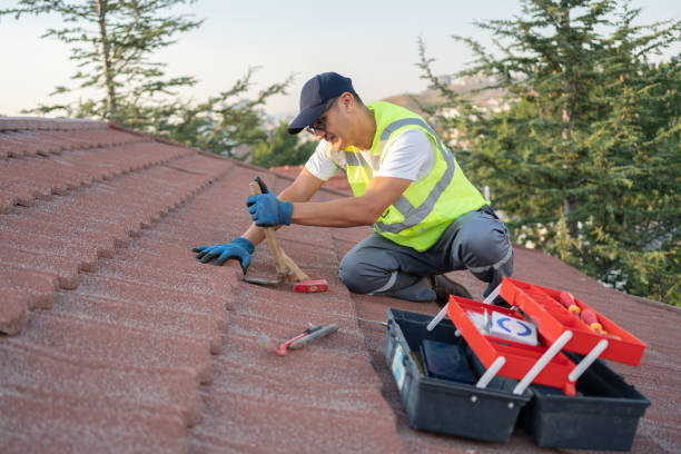 Best Flat Roof Repair Services  in Lavaca, AR