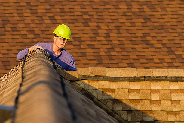 Roof Gutter Cleaning in Lavaca, AR